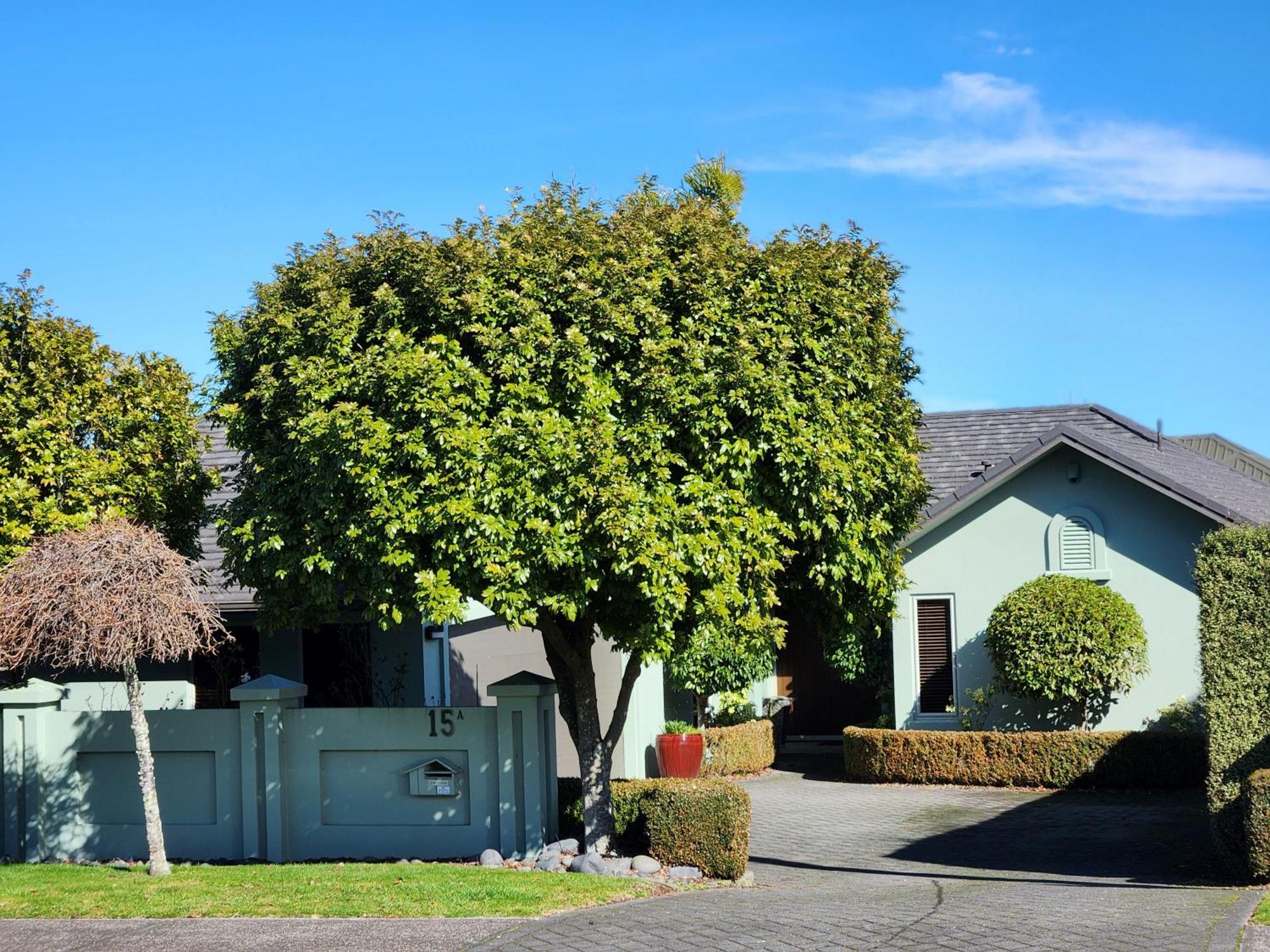 Gold On Gillies 3 Bedroom House Taupo Eksteriør bilde